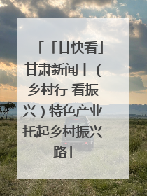「甘快看」甘肃新闻丨（乡村行 看振兴）特色产业托起乡村振兴路