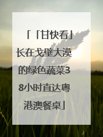 「甘快看」长在戈壁大漠的绿色蔬菜38小时直达粤港澳餐桌