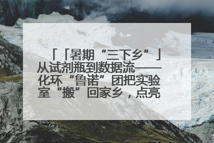 「暑期“三下乡”」从试剂瓶到数据流——化环“鲁诺”团把实验室“搬”回家乡，点亮桑梓求知路