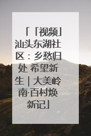 「视频」汕头东湖社区：乡愁归处 希望新生｜大美岭南·百村焕新记