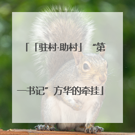 「驻村·助村」“第一书记”方华的牵挂