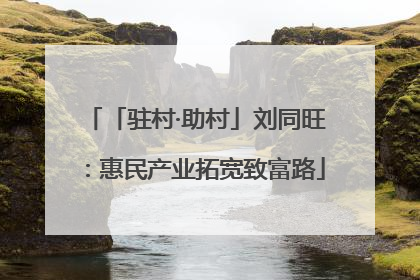 「驻村·助村」刘同旺：惠民产业拓宽致富路