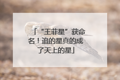 “王菲星”获命名！追的星真的成了天上的星