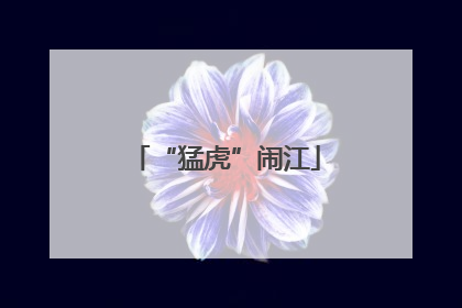 “猛虎”闹江