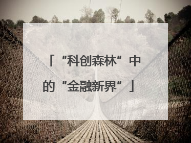 “科创森林”中的“金融新界”