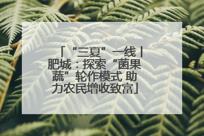 “三夏”一线丨肥城：探索“菌果蔬”轮作模式 助力农民增收致富