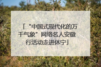 “中国式现代化的万千气象”网络名人安徽行活动走进休宁