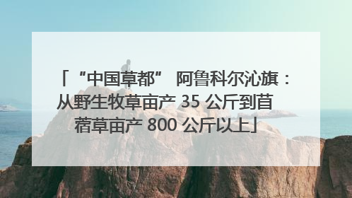 “中国草都” 阿鲁科尔沁旗：从野生牧草亩产 35 公斤到苜蓿草亩产 800 公斤以上