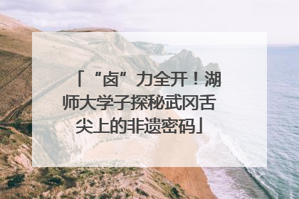 “卤”力全开！湖师大学子探秘武冈舌尖上的非遗密码