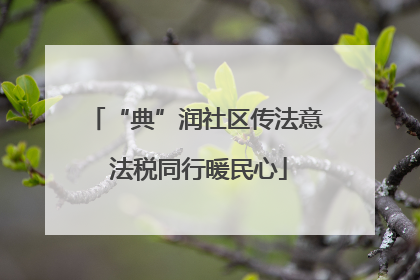 “典”润社区传法意 法税同行暖民心