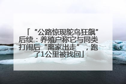 “公路惊现鸵鸟狂飙”后续：养殖户称它与同类打闹后“离家出走”，跑了1公里被找回