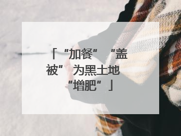 “加餐”“盖被” 为黑土地“增肥”