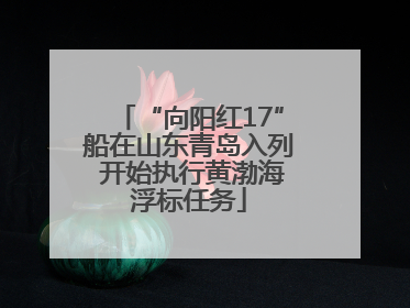 “向阳红17”船在山东青岛入列 开始执行黄渤海浮标任务