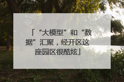 “大模型”和“数据”汇聚，经开区这座园区很酷炫
