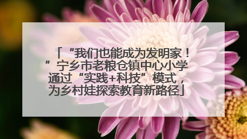 “我们也能成为发明家！”宁乡市老粮仓镇中心小学通过“实践+科技”模式，为乡村娃探索教育新路径