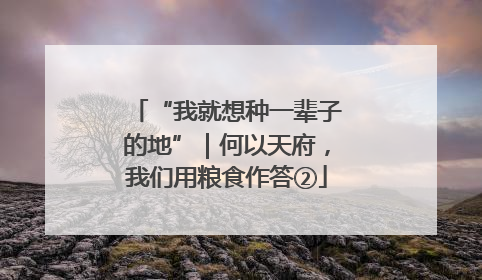 “我就想种一辈子的地”｜何以天府，我们用粮食作答②