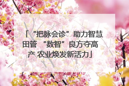“把脉会诊”助力智慧田管 “数智”良方夺高产 农业焕发新活力