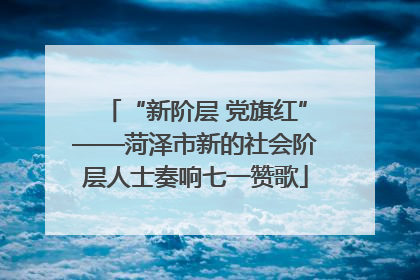 “新阶层 党旗红”——菏泽市新的社会阶层人士奏响七一赞歌