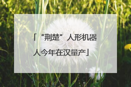 “荆楚”人形机器人今年在汉量产