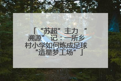 “苏超”主力 “溯源” 记：一所乡村小学如何炼成足球 “造星梦工场”