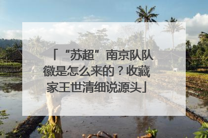 “苏超”南京队队徽是怎么来的？收藏家王世清细说源头