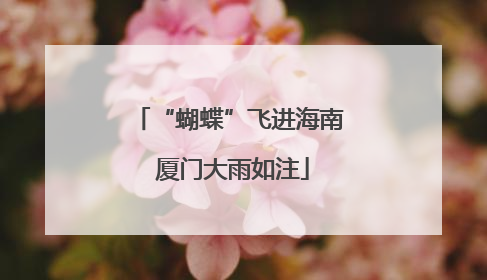 “蝴蝶”飞进海南 厦门大雨如注