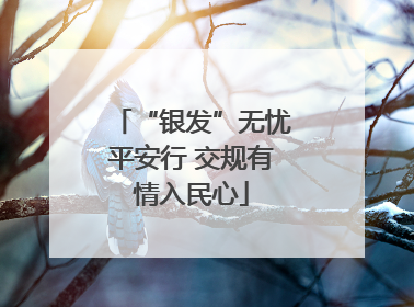 “银发”无忧平安行 交规有情入民心