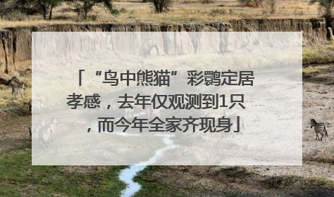 “鸟中熊猫”彩鹮定居孝感，去年仅观测到1只，而今年全家齐现身