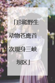 珍稀野生动物苍鹰首次现身三峡坝区