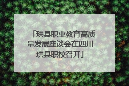 珙县职业教育高质量发展座谈会在四川珙县职校召开