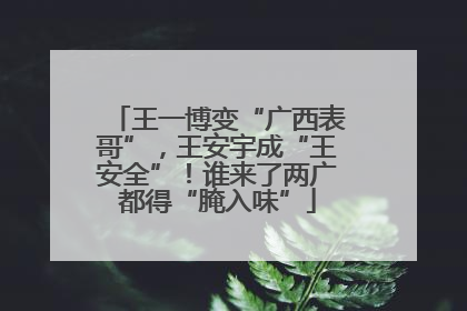 王一博变“广西表哥”，王安宇成“王安全”！谁来了两广都得“腌入味”