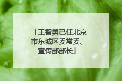 王智勇已任北京市东城区委常委、宣传部部长