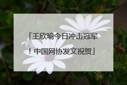 王欣瑜今日冲击冠军！中国网协发文祝贺