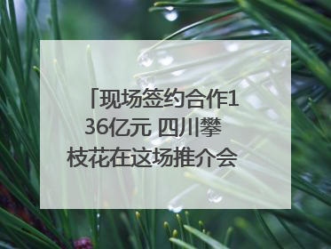 现场签约合作136亿元 四川攀枝花在这场推介会上画“图谱”列“清单”