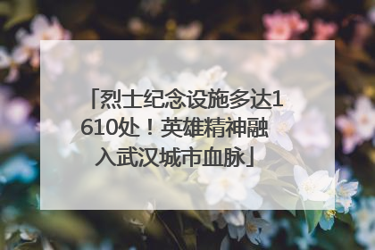 烈士纪念设施多达1610处！英雄精神融入武汉城市血脉