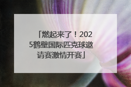 燃起来了！2025鹤壁国际匹克球邀请赛激情开赛
