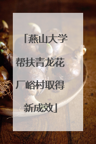 燕山大学帮扶青龙花厂峪村取得新成效
