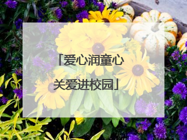 爱心润童心 关爱进校园