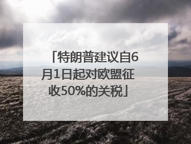 特朗普建议自6月1日起对欧盟征收50%的关税