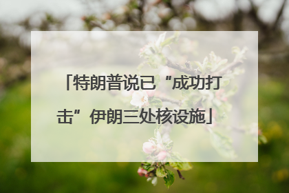 特朗普说已“成功打击”伊朗三处核设施