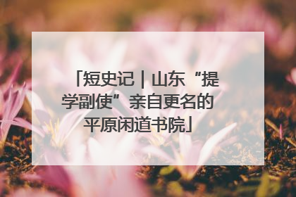 短史记｜山东“提学副使”亲自更名的平原闲道书院