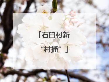 石臼村新“村播”