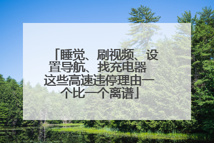 睡觉、刷视频、设置导航、找充电器 这些高速违停理由一个比一个离谱