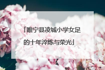 睢宁县凌城小学女足的十年淬炼与荣光