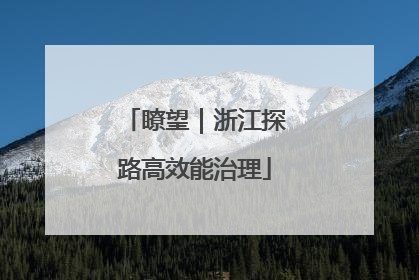 瞭望｜浙江探路高效能治理