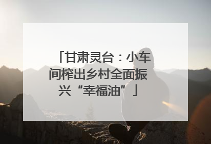 甘肃灵台：小车间榨出乡村全面振兴“幸福油”