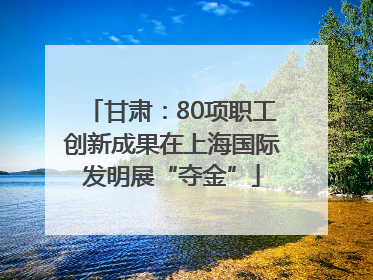 甘肃：80项职工创新成果在上海国际发明展“夺金”
