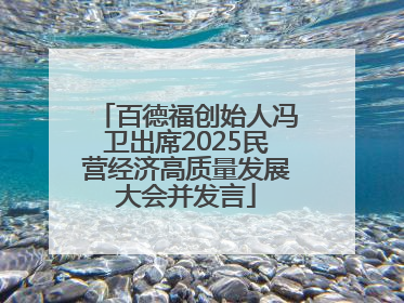 百德福创始人冯卫出席2025民营经济高质量发展大会并发言