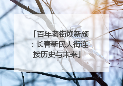 百年老街焕新颜：长春新民大街连接历史与未来