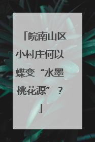皖南山区小村庄何以蝶变“水墨桃花源”？